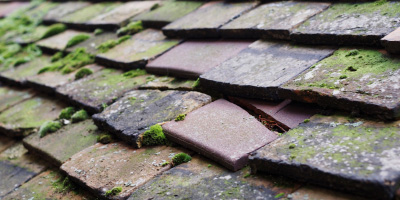 South Stoke roof repair costs